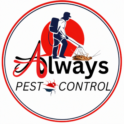 Always Pest Control Bd