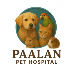 Paalan Pet Hospital - Best Pet Clinic In Jaipur