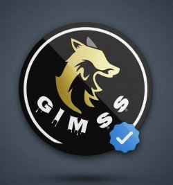 GIMSS Security Services (Pvt) Ltd
